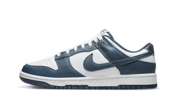 Nike Dunk Low Valerian Blue - Bricks Club